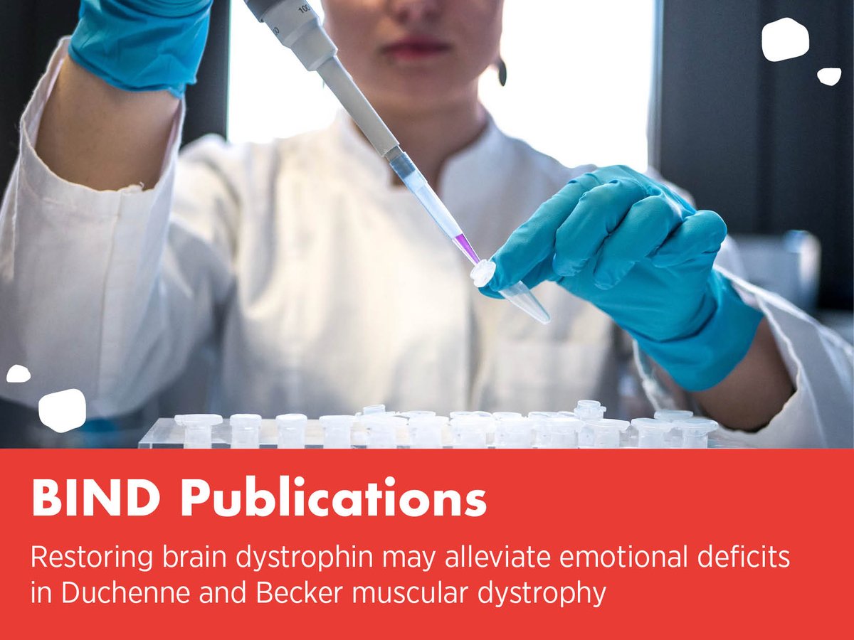 🔬 The latest BIND publication by Saoudi et al. shows that restoring dystrophin expression in the brain of mdx52 mice using tricyclo-DNA antisense oligonucleotides improves anxiety and fear-related behaviors.
The #OpenAccess paper is available here: bindproject.eu/partial-restor…