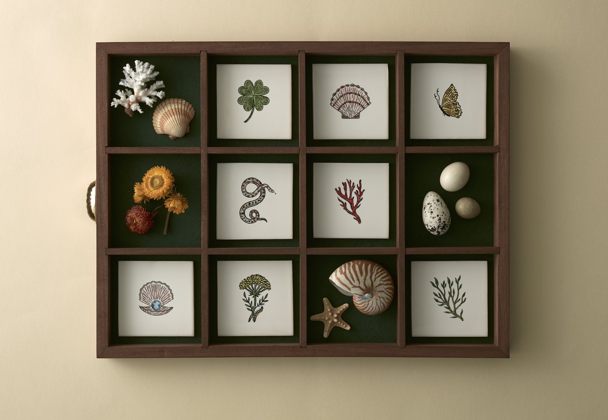 roman_c's tweet image. Delicate Curiosities: Artist Fee Greening’s Botanical Drawings on Tiles, Wallpaper, and More dlvr.it/Smg9v2 #ArtDecoration #Wallpaper #Backsplashes #BotanicalArt | BidBuddy.com