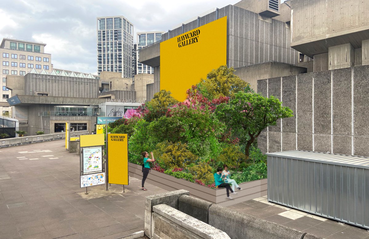 This summer in South Bank, @southbankcentre and @haywardgallery will be launching a @sugiproject pocket forest. The 130 metre-squared patch of 390 trees will arrive as part of the Planet Summer season, and then will be a permanent feature for years to come🌳