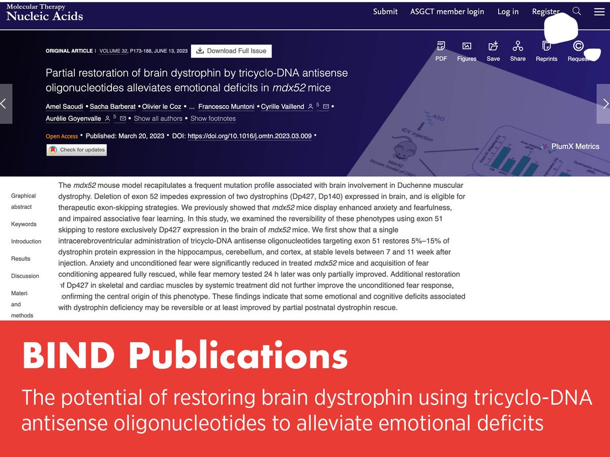 📝 Our latest BIND paper shows that tricyclo-DNA antisense oligonucleotides targeting exon 51 can restore dystrophin expression in the brain, leading to improved emotional and cognitive deficits in mdx52 mice.
Read the full paper by Saoudi et al: bindproject.eu/partial-restor…
