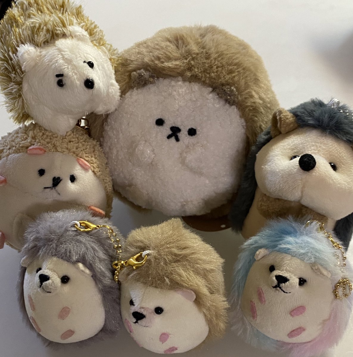 뾰서기 환영식🫳🏻🦔
#행복한세상의뾰서기