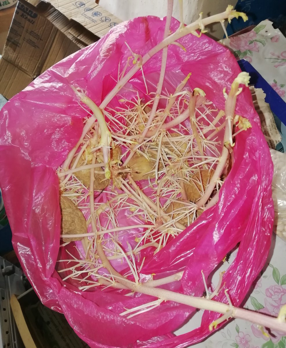 Biraz abartmıssınız sanki isterseniz az daha uzayıp evi ele geçirin patatesseniz patatesliğinizi bilin