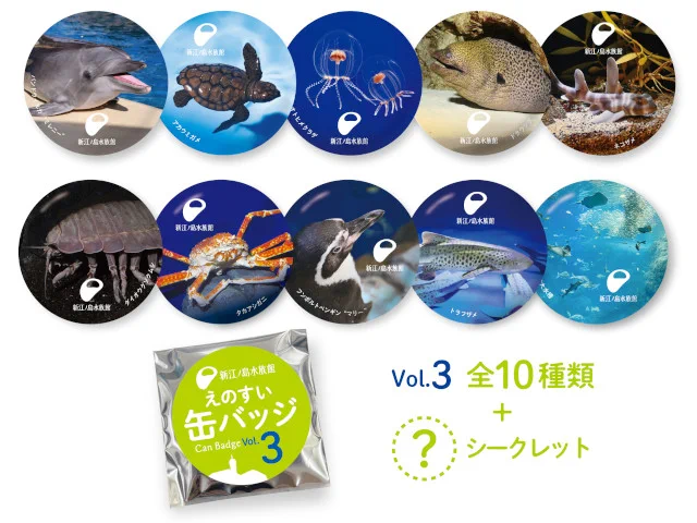 新江ノ島水族館 on X: 