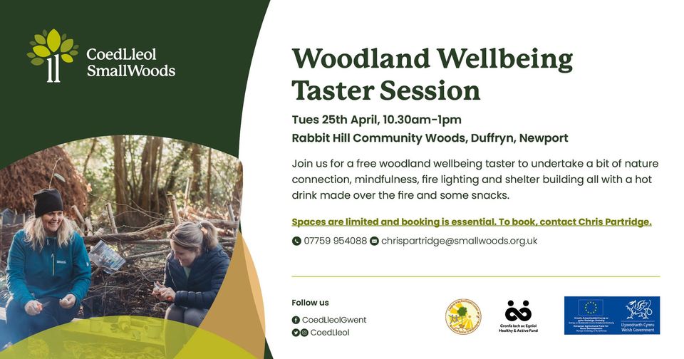 Woodland Routes to Wellbeing tweet media