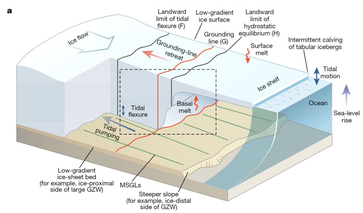 Interested in the mechanism of buoyancy-driven ice-sheet retreat described in our new <a href="/Nature/">nature</a> paper? (rdcu.be/c9eZ4). Here’s a short thread explaining some of the key points from the manuscript!

<a href="/DrCBatchelor/">Christine Batchelor</a> <a href="/JEGlaciers/">Dr Jeff Evans</a> <a href="/scottpolar/">Scott Polar Research Institute</a> <a href="/NCLPhysGeog/">NCL Physical Geog</a>
1/n