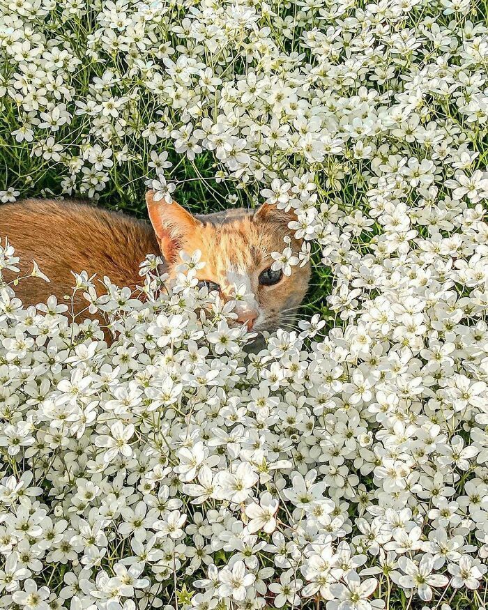 catshealdeprsn's tweet photo. https://t.co/4aZ0GjqYBX