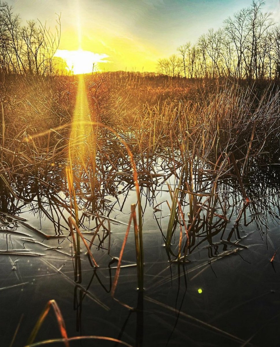 kawarthaNOW's tweet photo. Good Tuesday morning our #kawarthapeeps from Lezley Woodhams Photography at Shadow Lake, Coboconk. Follow the photographer on Instagram at https://t.co/UveRTG7FQQ and on Facebook at Lezley Woodhams Photography
#coboconk #shadowlake #norland #kawarthalakesontario #ontariolakes https://t.co/PpNptVOAv4