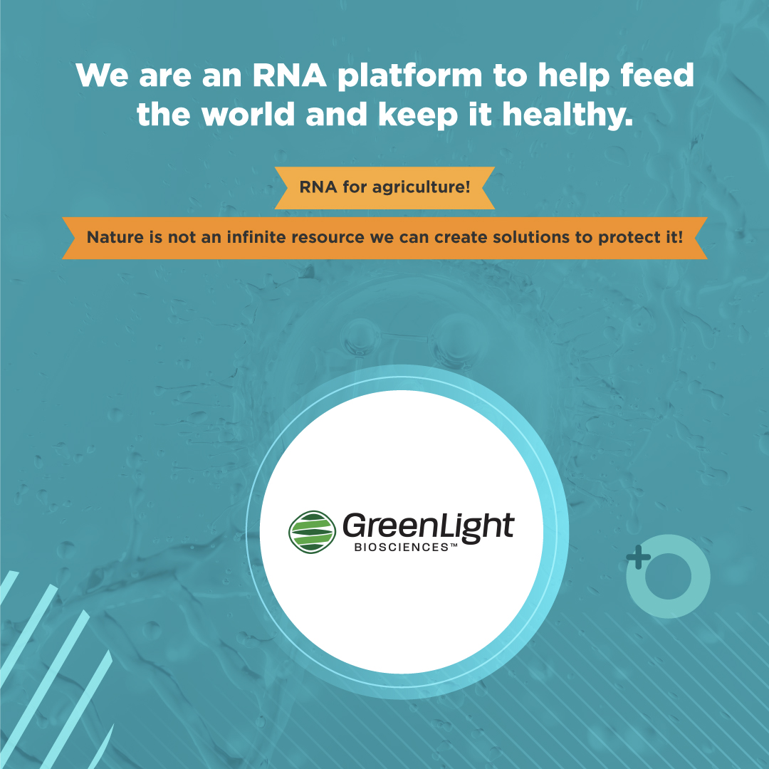 International Molecular Plant Protection Congress tweet media