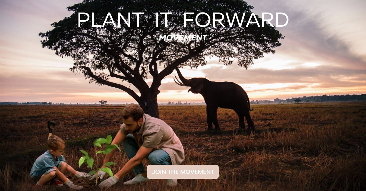 Hey Unchained Family, 

We're excited to announce that tomorrow we're launching a new campaign! 

We're super inspired by our friends over at @WildStagTH & @RobertoManrique from #JuntosXLaTierra

Can't wait to share it with you all!

#Plantitforward #nfts4good #nftwithpurpose…