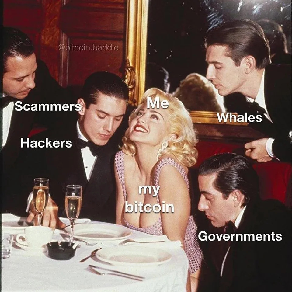 Clara.nft tweet media