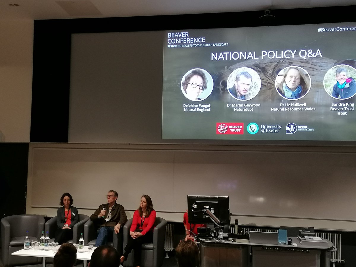 dashmolean's tweet photo. 🪄 Q: "If you had a magic wand, what single thing would you change to facilitate #beaver expansion?" A: "High-level political support." Martin Gaywood @nature_scot #BeaverConference2023 https://t.co/qvR0ppxCTl