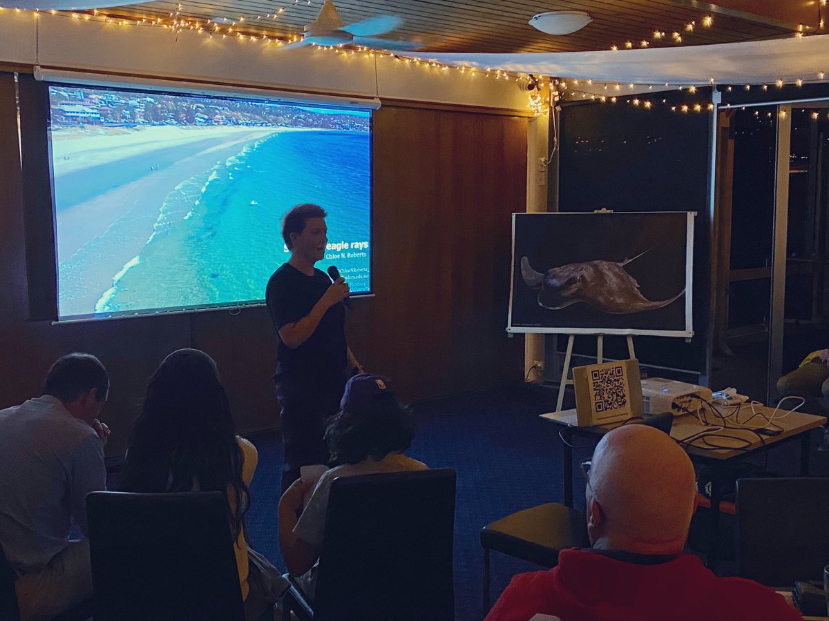 Charlie Huveneers tweet media