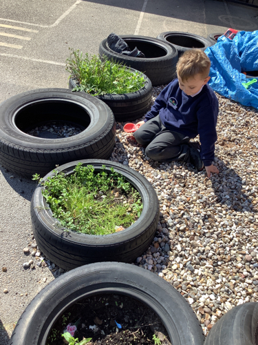 Reception enjoyed a lovely afternoon in the sun 🌞 #ParklandsCPlove2learnEY