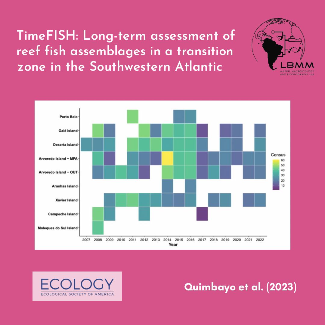 Mission Atlantic (@missionatlantic) on Twitter photo 🐟The TimeFISH database provides the first public long-time series dataset on reef fish assemblages in the southwestern Atlantic
📰doi.org/10.1002/ecy.39…
<a href="/SergioFloeter/">Sergio R. Floeter</a> 🐟The TimeFISH database provides the first public long-time series dataset on reef fish assemblages in the southwestern Atlantic
📰doi.org/10.1002/ecy.39…
<a href="/SergioFloeter/">Sergio R. Floeter</a>