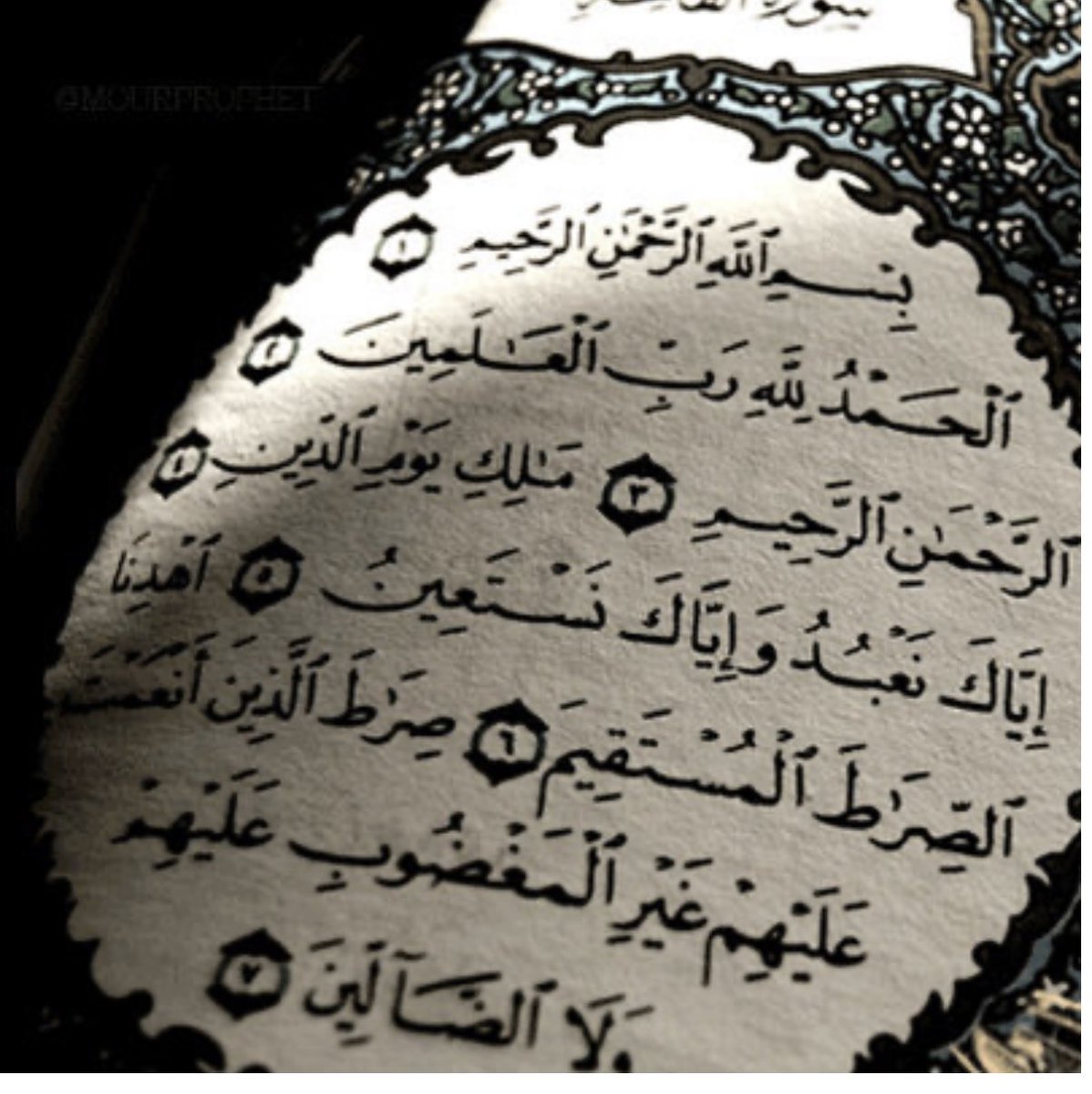 _alinjaz_'s tweet photo. https://t.co/w6B5CLdkzV