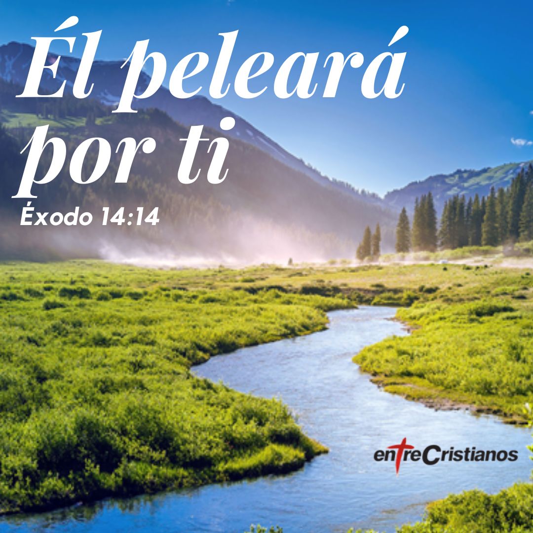 En Él tenemos seguridad plena