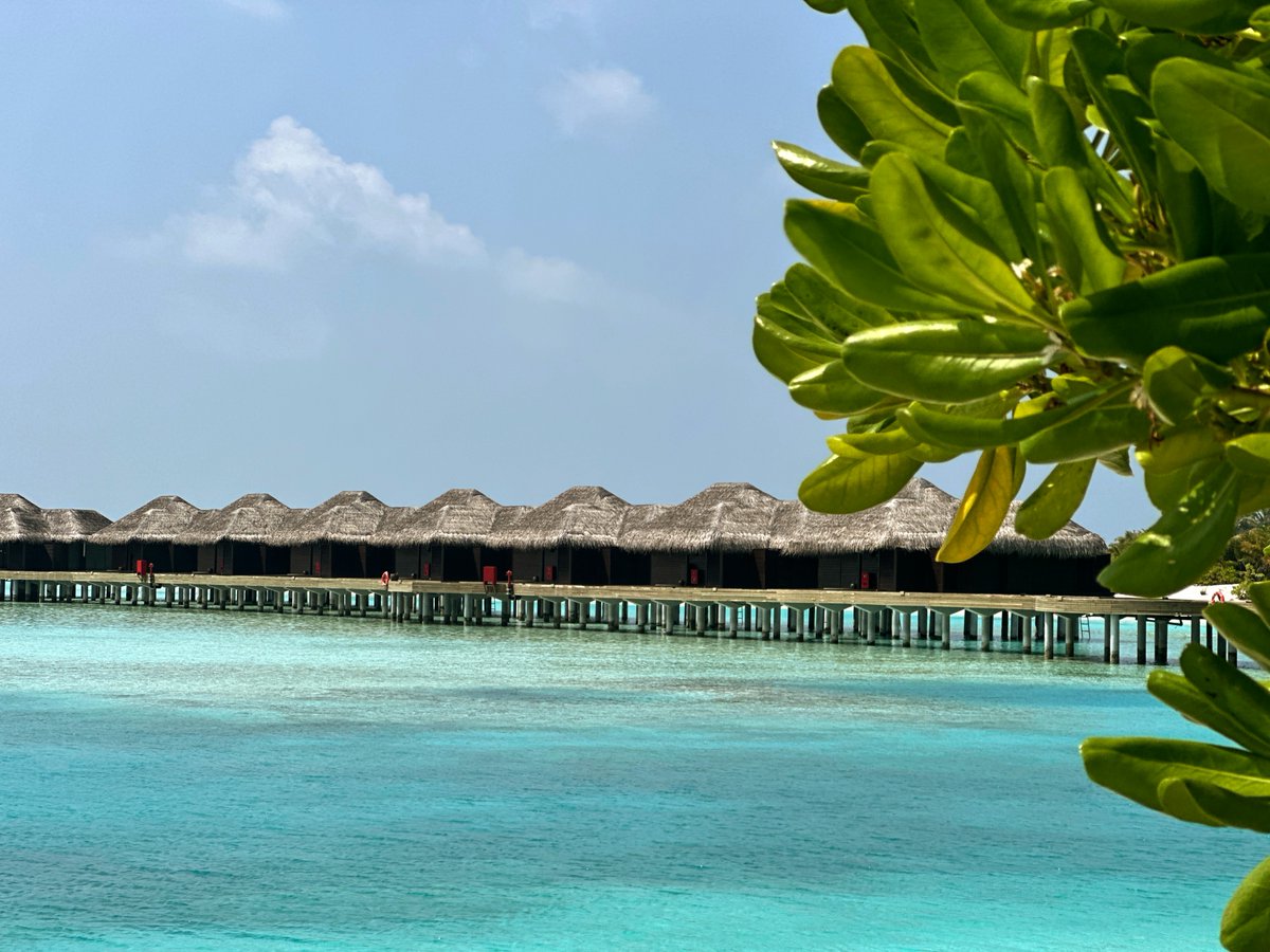 LipeforSunset's tweet photo. Maldives- Overwater Bungalows
#purposefulwander #maldiveslovers #amateurphotography #travel #amateur #amateurphotographer #maldive #maldives #themaldives #themaldivesislands #รญsland #indianocean #indianoceanislands #islandsunset #veli #velimaldives
https://t.co/r14AQ29uKy https://t.co/ylu0rlUJ3z