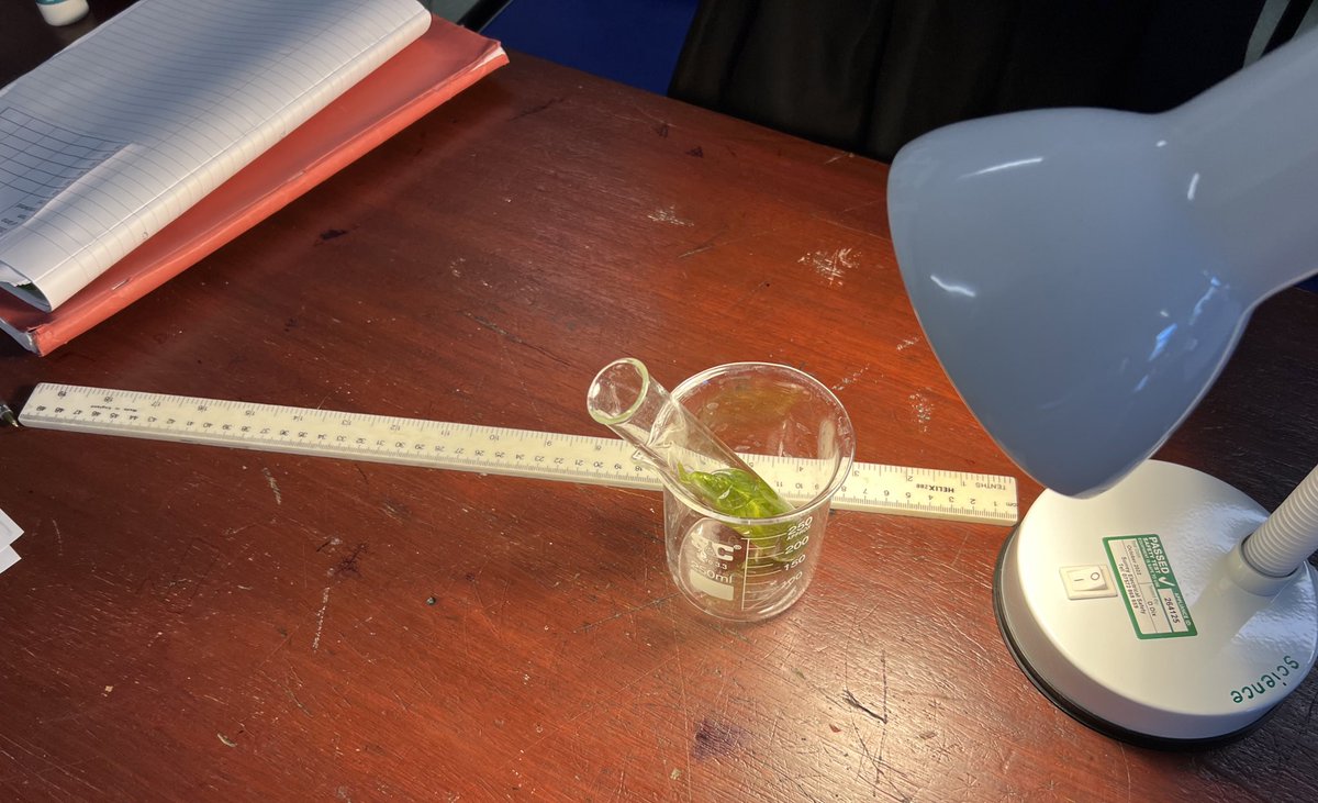 Time for Pondweed again 🌱💡 well done year 10!