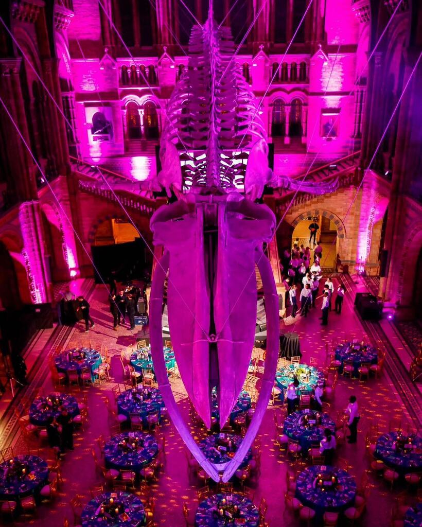 Hope the blue whale • #naturalhistorymuseum #chrisathanasiou #eventslondon #eventvenues #canonr5 #commercialphotographer #londonmuseums instagr.am/p/CrLKK0dozA6/