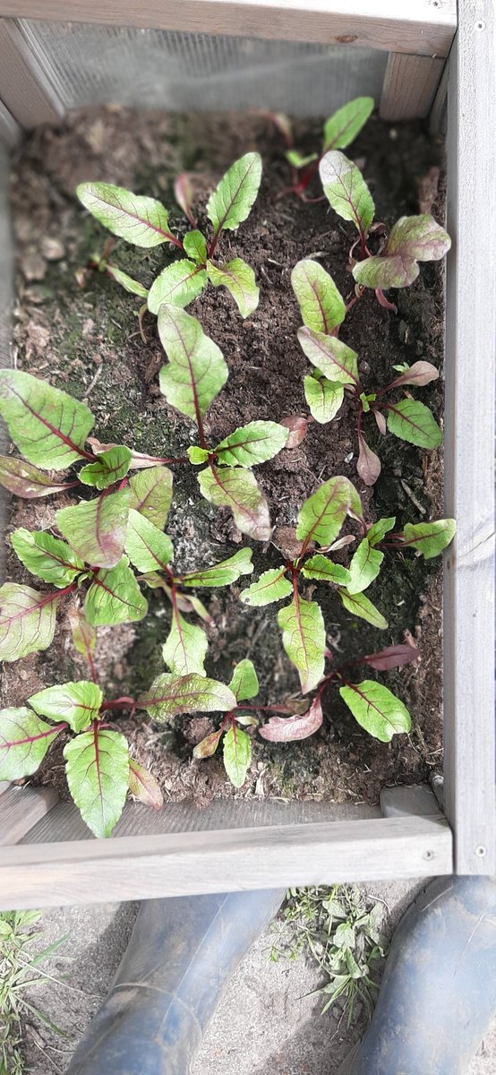 Volop lente in Tuinnummerelf.