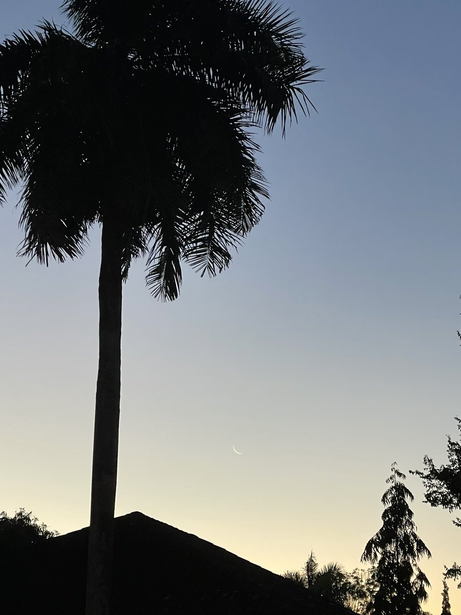 Ernesto ASCH tweet media