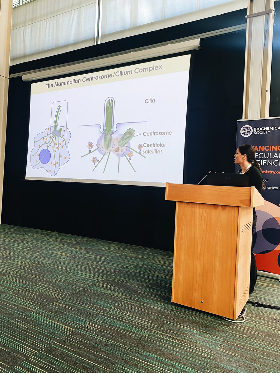 Does anyone else treat some talks in conferences as very complex and fast paced biology lessons? ✍🏼📙

#DynamicCellV #conference2023 #biology