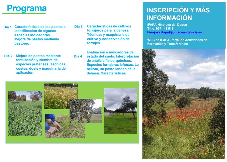 IfapaJunta's tweet photo. 🌱 Los pastos, junto con la bellota, son el principal recurso alimenticio del ganado de #dehesa

👩🏼‍🏫 El #IFAPA imparte un curso de 20 horas de teoría y prácticas sobre las técnicas para su mejora.

📌Del 25 al 28 abril en el Centro Hinojosa del Duque (Córdoba)

#IFAPAforma https://t.co/K0bEBizdRj