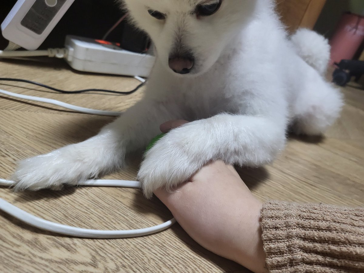 09Soju12's tweet photo. 공좀만졋다고 경계함 https://t.co/zC3HJicaw5