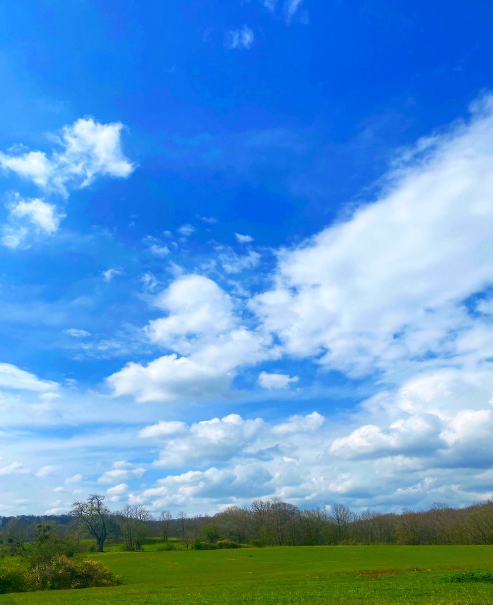 GunesOkuyucu's tweet image. Windows XP
#iğneada