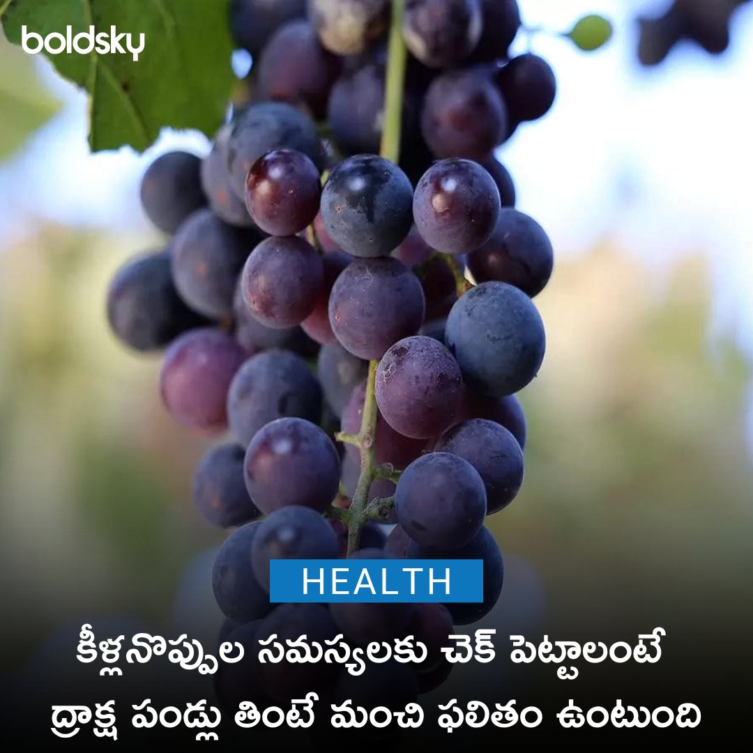 #HealthTips #HealthyFruit #Grapes #HealthyFoodTips #TeluguHealthTips #BoldSkyTelugu
telugu.boldsky.com/?utm_medium=De…...