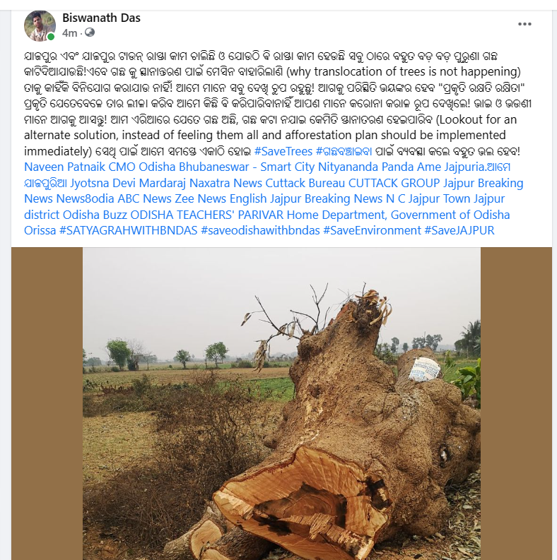 BDas18's tweet photo. STOP #FellingTREES #Odisha #JAJPUR #JAJPURTOWN @moefcc @ForestDeptt @jyotsnadevi33 @Naveen_Odisha @CMO_Odisha @DasNavin2615 @SecyChief @PradeepJenaIAS @_anugarg @vishaldevk @PMOIndia @dpradhanbjp @dm_jajpur @Jajpurmun
#SATYAGRAHWITHBNDAS #saveodishawithbndas #SaveEnvironment https://t.co/FLEoHI6nuZ