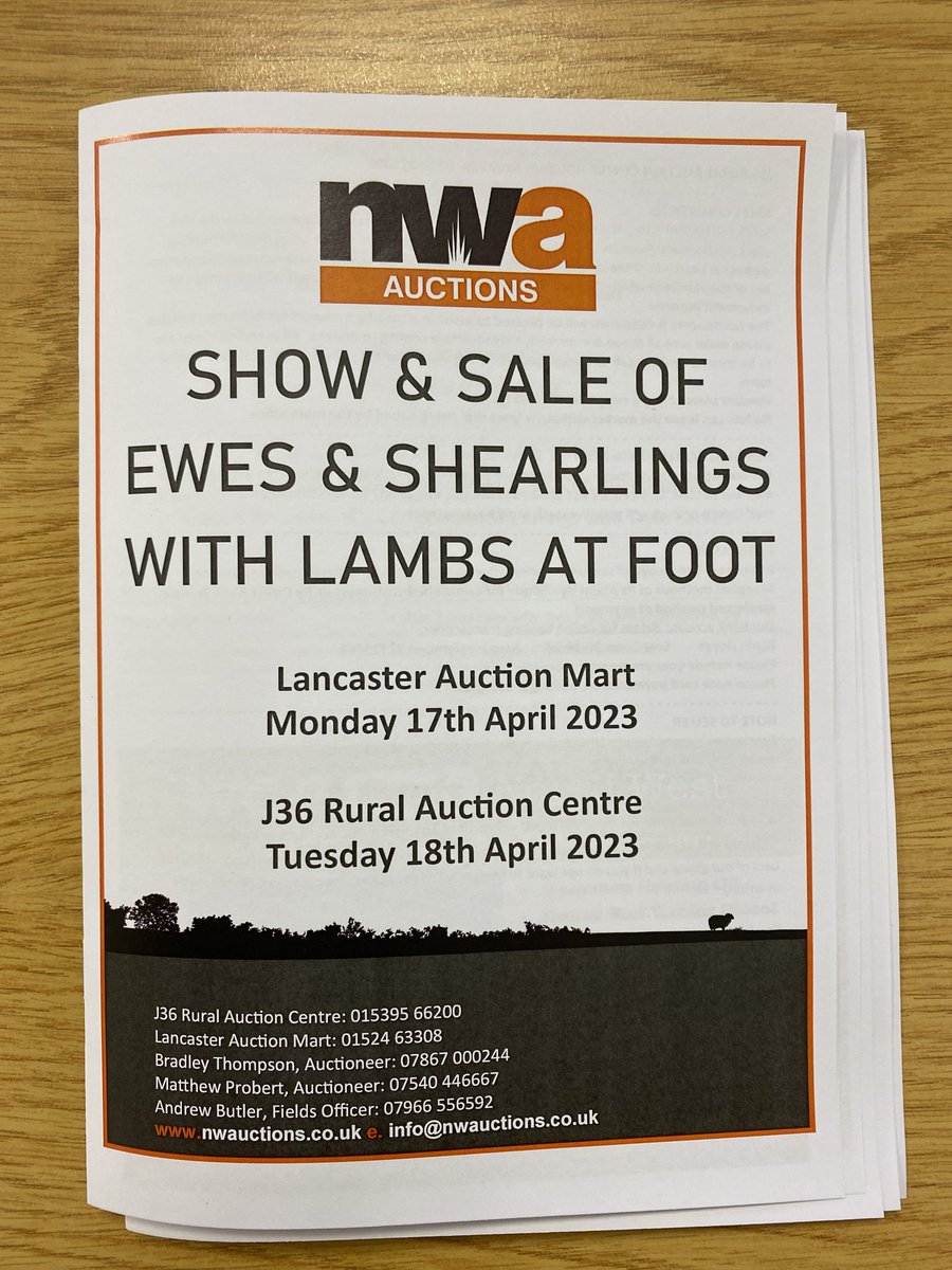 Emma Hayes tweet media