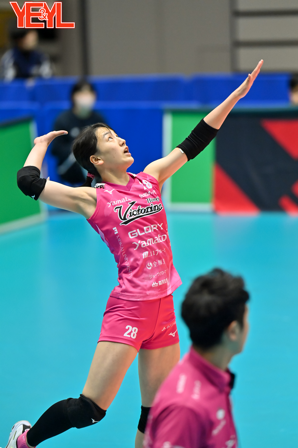 女子バレー 長野有紗 直筆サイン色紙 日付入り 2025年最新】女子バレー サインの人気アイテム - メルカリ