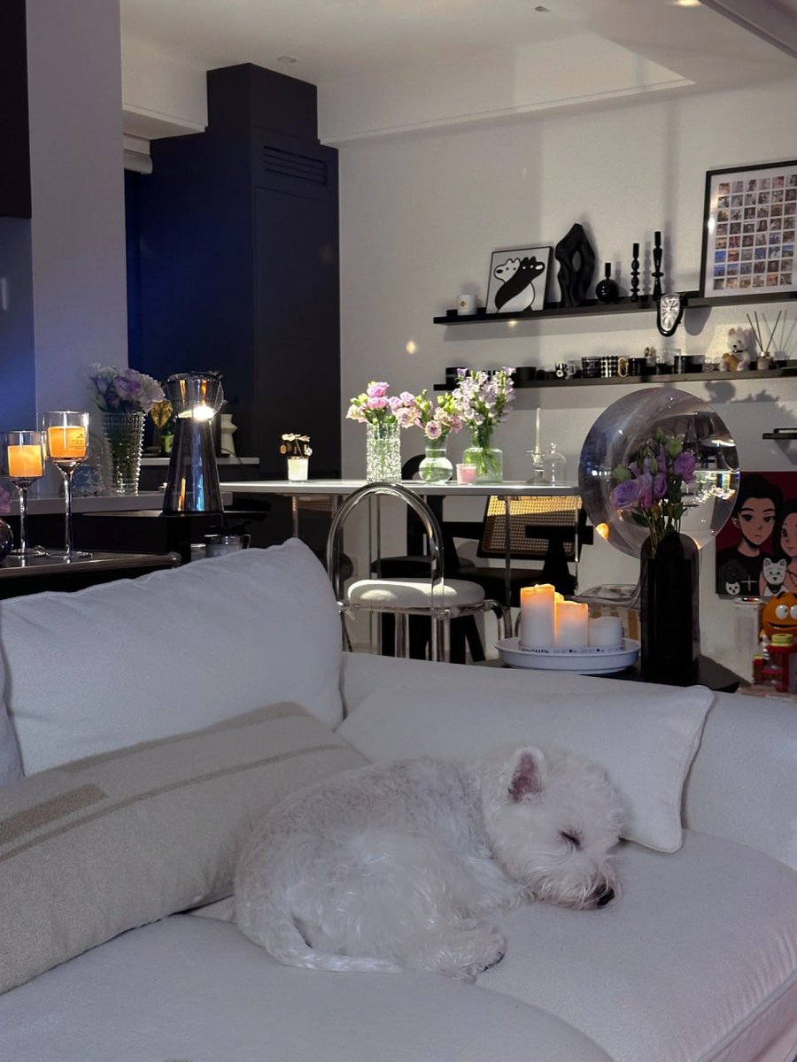 Nice three (@nicethree341523) on Twitter photo 