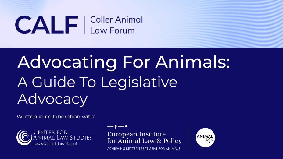 CollerFdn tweet picture