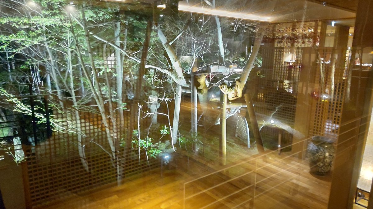 kumacinko's tweet photo. 夜の庭園··· https://t.co/dQaKuw9WKC