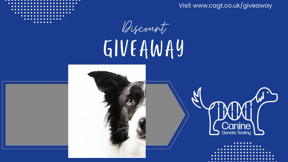 Canine Genetic Testing tweet media