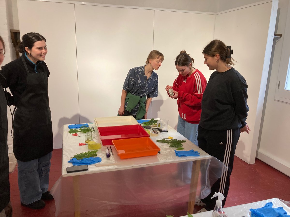 Hautlieu Creative tweet media