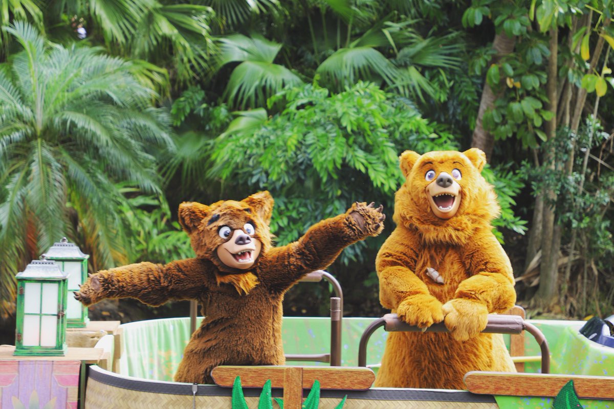 beveried's tweet photo. Best day ever! 🤎🐻🤎🐻 https://t.co/vRVIyo6WHC