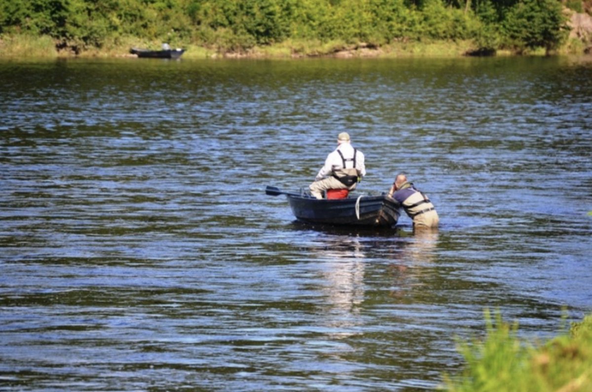 Full time Boatman/Ghillie Vacancy

An exciting opportunity to join the Wark salmon fishing team has arisen. Package to include competitive salary, use of vehicle and clothing allowance. Accommodation can be provided if required.

Email CV to: fishing@warkestate.co.uk
