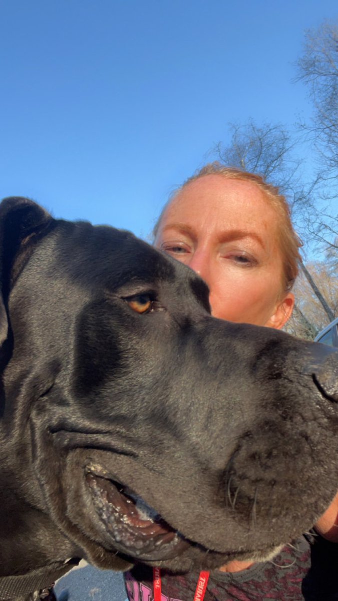 DoodleAndDane's tweet photo. Wishing our mama hooman a very #HappyBirthday with extra snuggles and sloppy kisses! https://t.co/AmqhGYYIPf