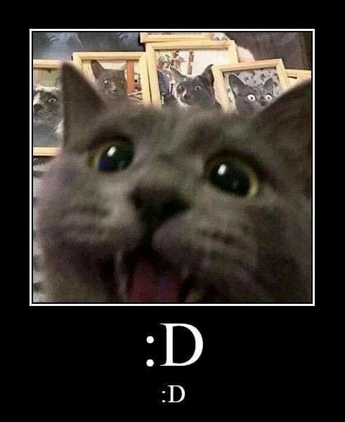 EmiliGatzi's tweet photo. @TaskiMaiden :D https://t.co/ZWi8Yr6hy5