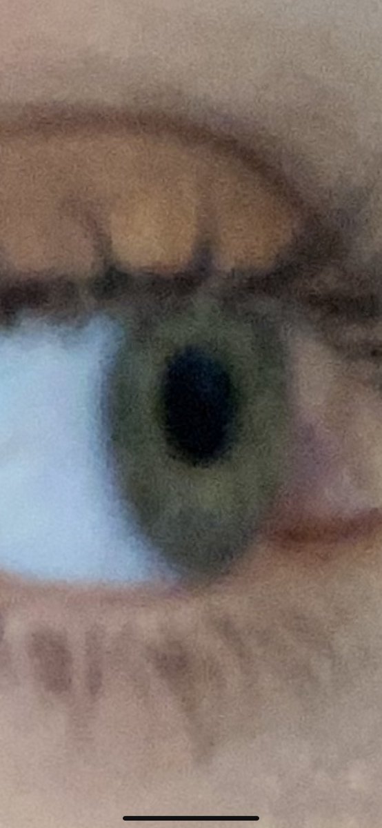 hrts4tyler's tweet image. green blue eyes 💚💙💚💙💚💙 #larryproof