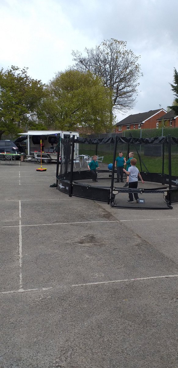 Bysing Wood Primary tweet media