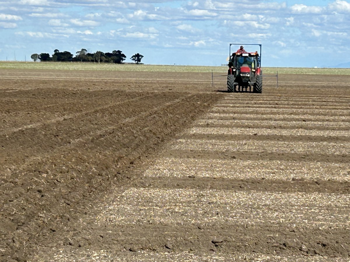 CaptainCanola's tweet photo. Great moisture near Rupanyup Vic, for a @PacificSeeds Canola Breeding Research Trial  sown today by the @AgXtra Team. Great to catch up &amp; next is 1000 plots of canola hybrids to emerge ready for drone flights. @hurgl1 @danrollsroyce @JoshMahns14 @schilgee @AgingAgro @donny_benn https://t.co/RuWuY0riJO