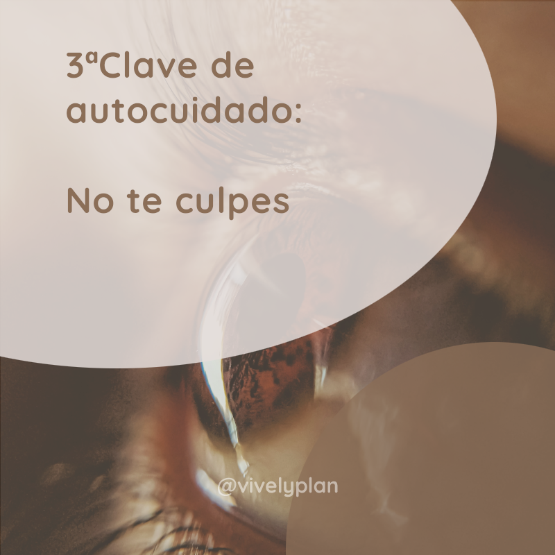 VivelyEs's tweet photo. La 3ª clave de #Vively para mantener un buen #autocuidado es no culparte a ti mismo. 🙅

⬇️¿Quieres aprender como hacerlo?⬇️

🟤Entra en: https://t.co/pqRaJLj2Qz https://t.co/X9nEsuRkj5
