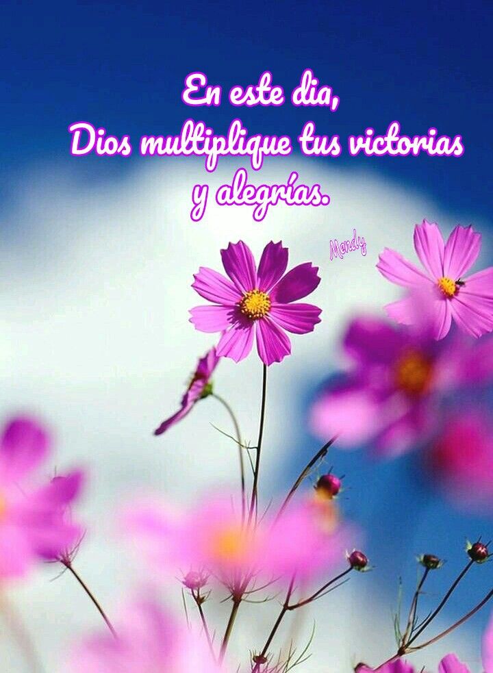 Saludos👋
Buen día Martes, Pásenla Bien💟
#RevoluciónÉtica
@Vanessa__0010 @anastacia053 @Neyda21708001 @zeliannys11 @Ecgar1969 @lrrc2020 @Andinita2021 @Luisana04998251 @trampaurao @Lyzi00 @VicmarVikivjam @Alvarex2808 💜