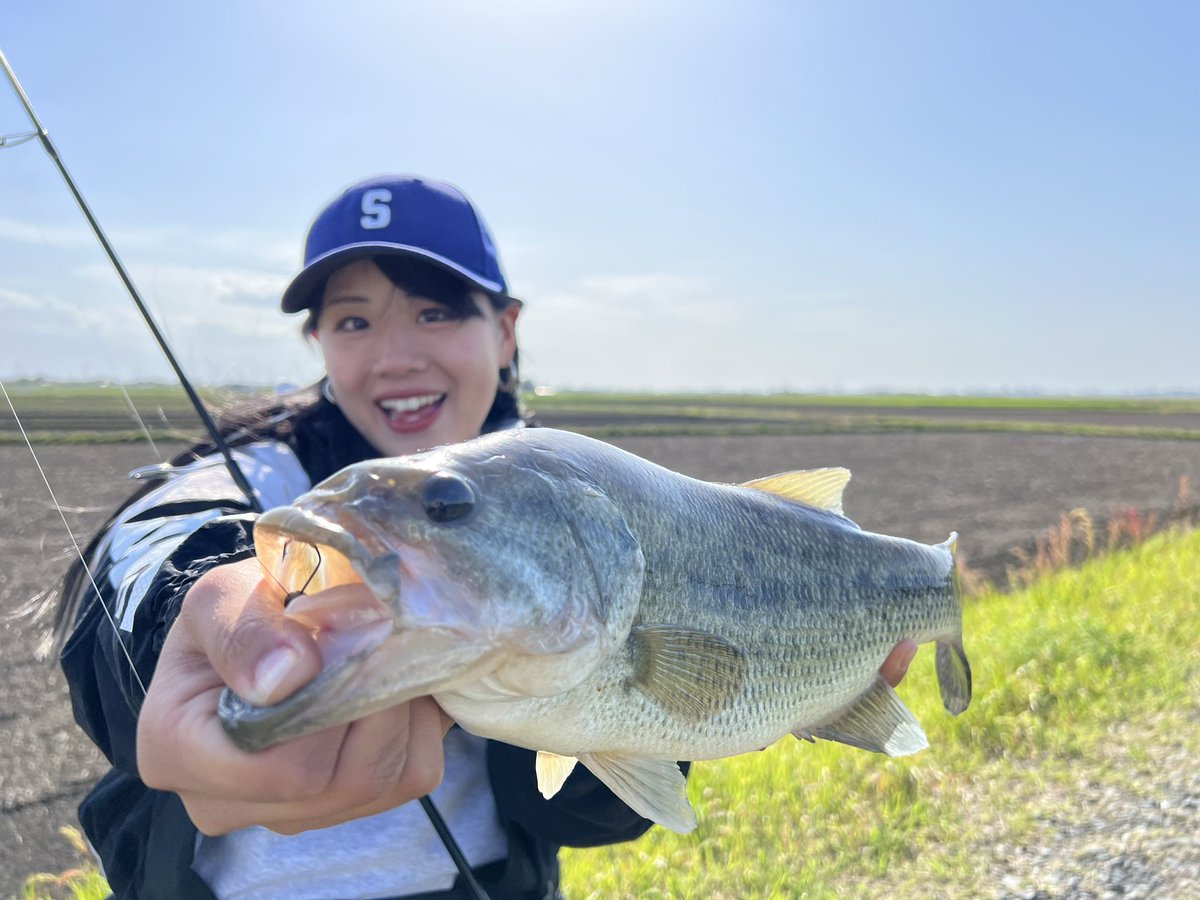 ベティ - Search / X