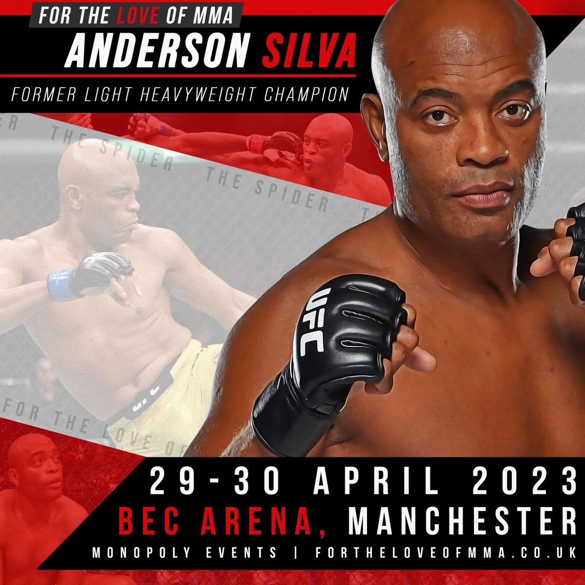 Anderson Silva (The Spider), MMA Fighter Page