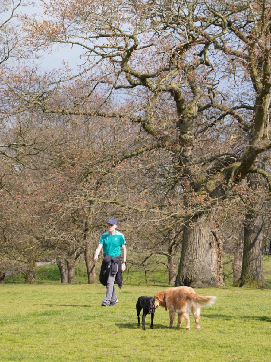 Valencia_ruka's tweet photo. Greenwich park https://t.co/4ht1uiyJbK